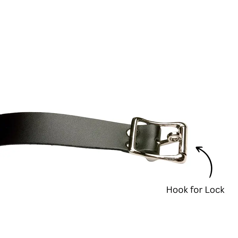 Obsidian Ball Gag with Lockable Pin for Advanced Restraint Play - Master