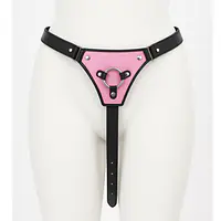 Pink Harness Strap On Belt - Master