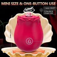 Rose Nipple and Clitoris Sucker With Wireless Charging - Master