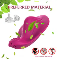 Whisper Vibe Smart App-Controlled Bluetooth Panty Vibrator - Master