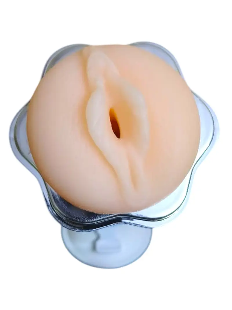 Pleasure Mount Suction Fleshlight with Dotted Tunnel - Master