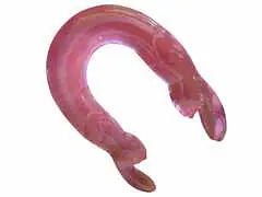 Mypleasure U-Shaped Double Rabbit Dildo - Master