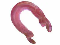 Mypleasure U-Shaped Double Rabbit Dildo - Master